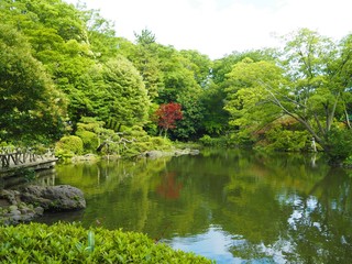 Fototapeta na wymiar Arisugawanomiyakinen Park in Tokyo Japan