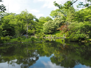 Fototapeta na wymiar Arisugawanomiyakinen Park in Tokyo Japan