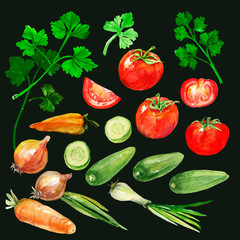 Tomatoes   Parsley   Pattern on white and black background.