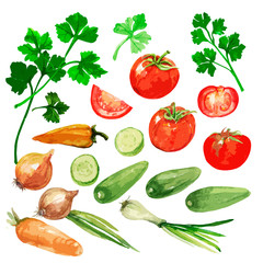 Tomatoes   Parsley   Pattern on white and black background.