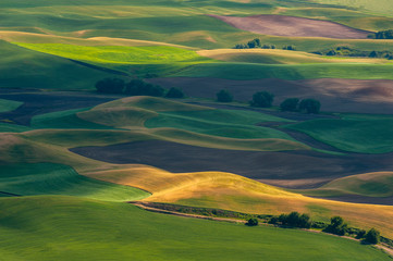 Beautiful Farmland Patterns Seen From Steptoe Butte, Washington. High above the Palouse Hills on the eastern edge of Washington, Steptoe Butte offers unparalleled views of a truly unique landscape.