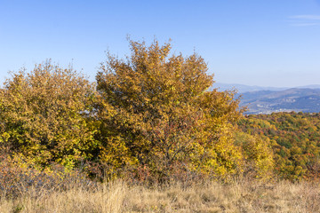 Autumn view of Cherna Gora mountain, Bulgaria
