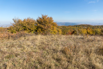 Autumn view of Cherna Gora mountain, Bulgaria
