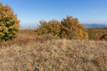 Fototapeta premium Autumn view of Cherna Gora mountain, Bulgaria
