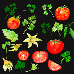Tomatoes    Pattern on white and black background.