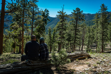 couple sitting alone in the forest