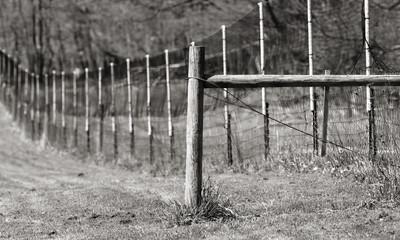 Monochrome image of Long fence in the farm