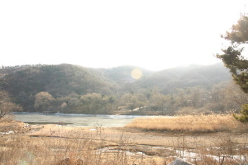 Riverside with reed in autumn