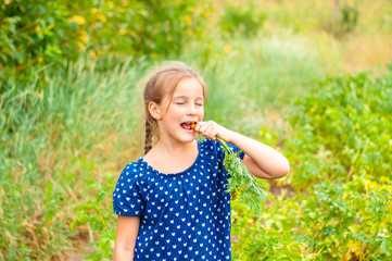 little beautiful girl smiles, picks and eats carrots in the garden
