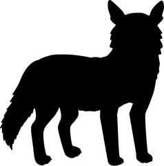 Coyote Silhouette