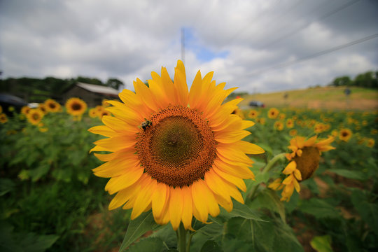 CUMMING, GA - JULY 10:    (Photo By David J. Griffin)