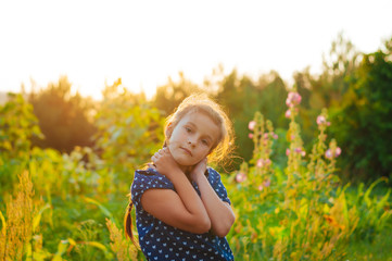 little adorable girl in a field at sunset spread her arms, enjoying
