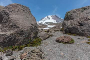 Mt. Hood Hiking trail