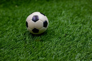 Fototapeta na wymiar Soccer football on green grass