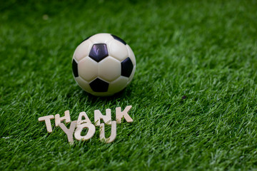 Fototapeta na wymiar Soccer football thank you on green grass