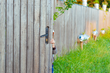 Child looks out from behind the gates of a wooden fence in the village in summer