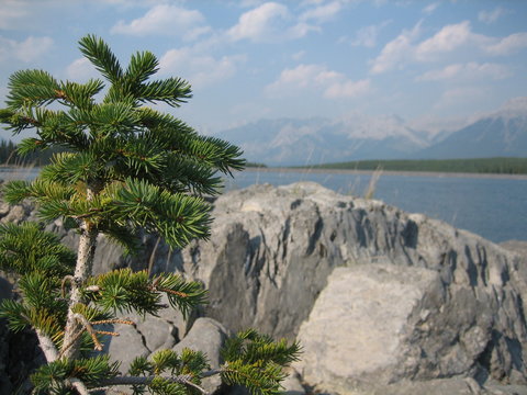 Looking onshore to Lake Kannanaskis, Canada