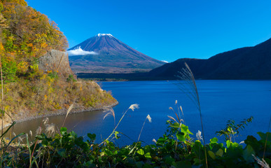 Mt. Fuji in autumn