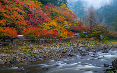 River in Autumn
