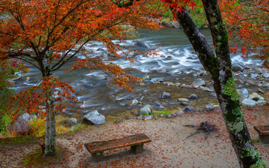 River in Autumn