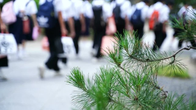 修学旅行イメージ　京都　集団で歩く中学生