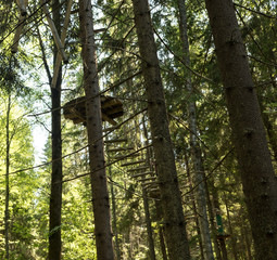 Rope extreme park. Attraction for children, climbing trees. Hanging rope park. Summer. Sunny day.