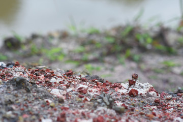 surface of dirt ground