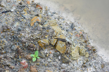 surface of dirt ground