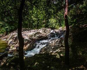 Scenic view of a waterfall framed by two trees