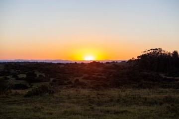 South African sunset