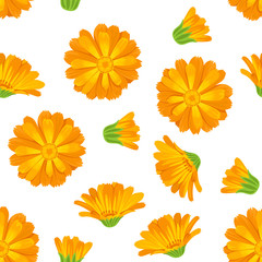 Calendula seamless pattern on a white background. Vector illustration of bright orange flowers in a cartoon flat style.