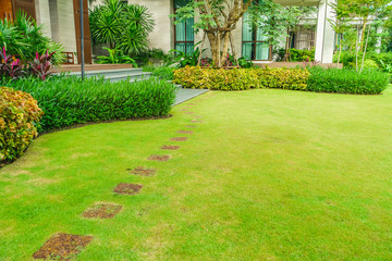 Pathways with green lawns, Landscaping in the garden, Curve walkway on green grass field and flower garden, House in the garden, path in the garden