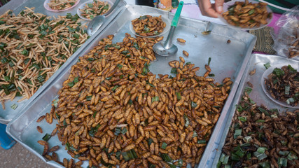 Thailand street food 