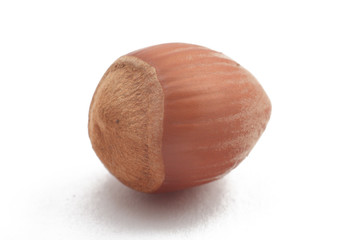 Hazelnut isolated on white background. Nut macro.