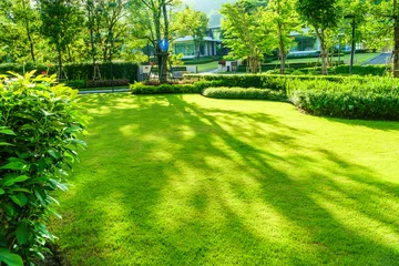 Fotobehang The sunshine in the evening shines through the trees down to the lawn of the front of the house beautifully, green lawn, Front lawn for the background, designed a beautiful shady landscape garden. © singjai