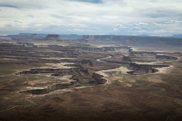 Green River Overlook with Colorado River & Plateau - Canyonlands National Park
