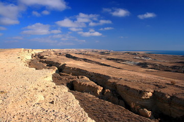 Uzbekistan Cink of the southern coast of the Aral Sea.