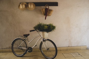 Cute White Bike with Plant in Basket