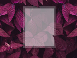 Frame and layout purple leaves pattern background, Natural background