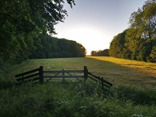 Rural view 