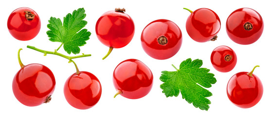 Ripe red currant isolated on white background closeup