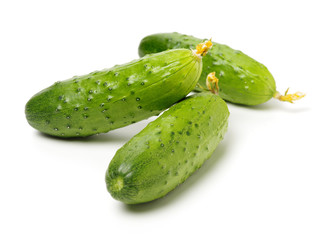 Green cucumber on the white background