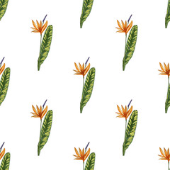 Strelitzia jungle foliage pattern background. Vector tropical decor. Summer botanical backdrop. Summer graphic. Magic background. Banana leaves.