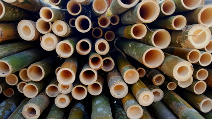 Bamboo piles, the basic ingredients of various household handicrafts