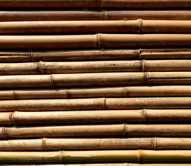 Bamboo twig wall as abstract background