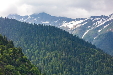 Beautiful mountains in the park in the Caucasus