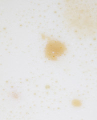 Yeast in dough as background