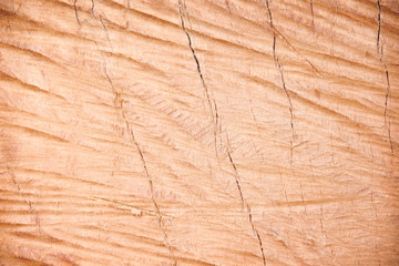 Top view new wood  patterns of  tree trunk texture for background