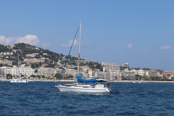 yachts in harbor