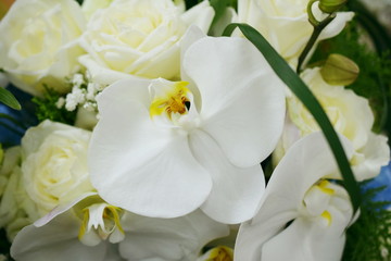 Beautiful white orchids and white rose Flower